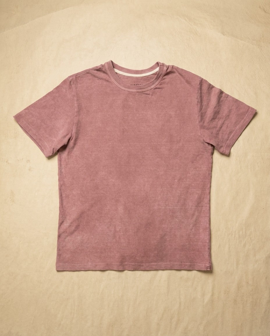 Fig T101