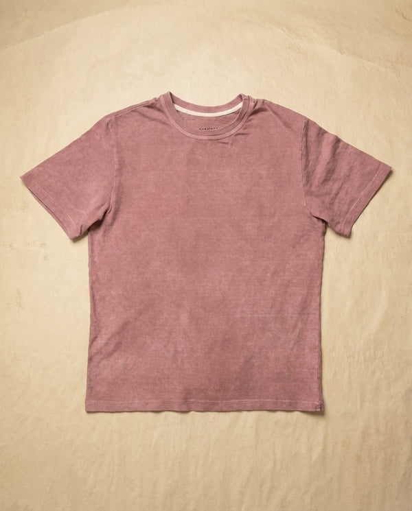 Fig T101