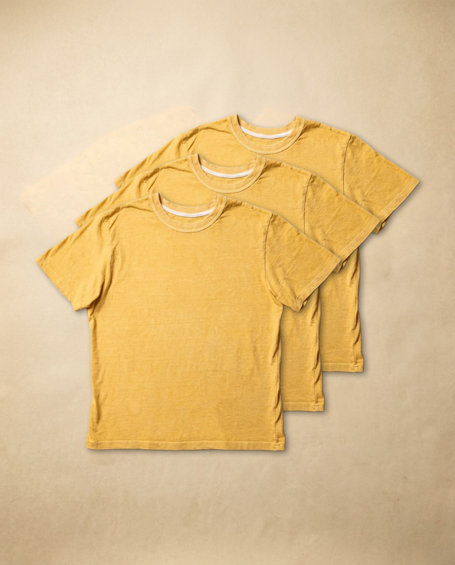Sunflower T101 3-Pack