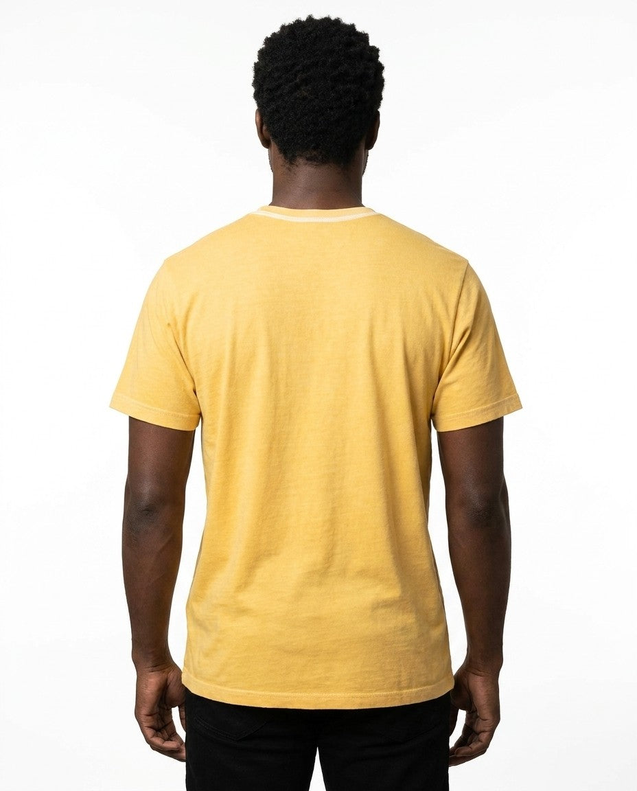 Sunflower T101